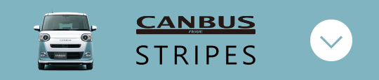 MOVE_CANBUS STRIPES